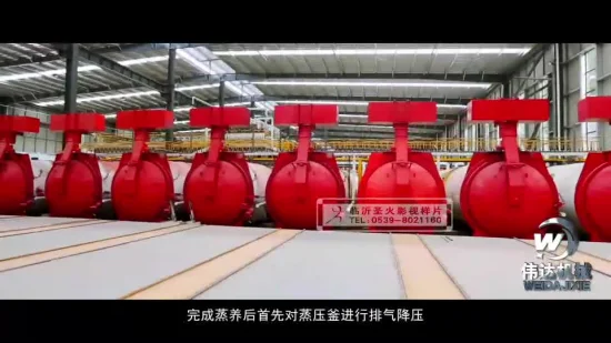 China Porenbetonplatten-Produktionslinie, Wärmedämmung von Baustoffen, Alc-Sand-Kalkstein-Anlage, bester Preis